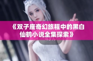《双子座奇幻旅程中的黑白仙鹤小说全集探索》