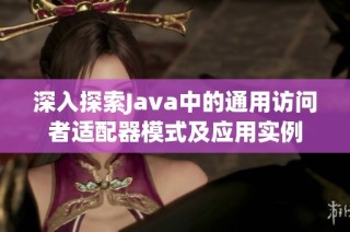 深入探索Java中的通用访问者适配器模式及应用实例