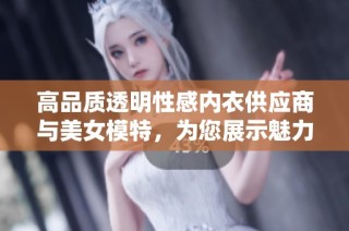 高品质透明性感内衣供应商与美女模特，为您展示魅力时尚