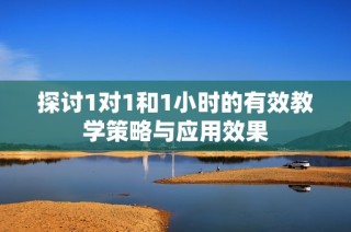 探讨1对1和1小时的有效教学策略与应用效果