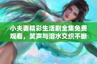 小夫妻精彩生活剧全集免费观看，笑声与泪水交织不断