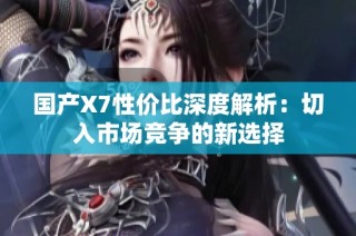 国产X7性价比深度解析：切入市场竞争的新选择