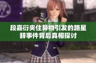 段嘉衍夹住异物引发的路星辞事件背后真相探讨