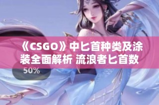 《CSGO》中匕首种类及涂装全面解析 流浪者匕首数据详解