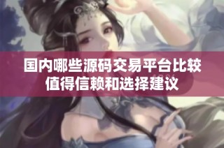 国内哪些源码交易平台比较值得信赖和选择建议