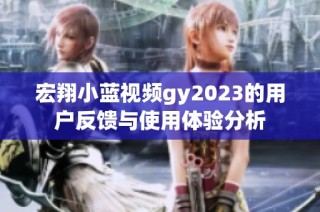 宏翔小蓝视频gy2023的用户反馈与使用体验分析