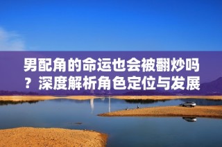 男配角的命运也会被翻炒吗？深度解析角色定位与发展