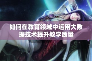 如何在教育领域中运用大数据技术提升教学质量