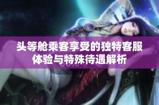 头等舱乘客享受的独特客服体验与特殊待遇解析