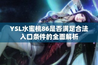 YSL水蜜桃86是否满足合法入口条件的全面解析