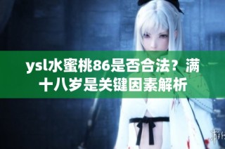 ysl水蜜桃86是否合法？满十八岁是关键因素解析