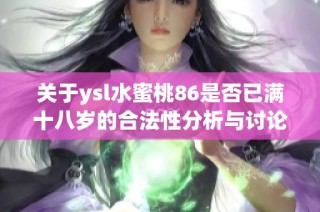 关于ysl水蜜桃86是否已满十八岁的合法性分析与讨论