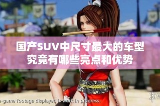 国产SUV中尺寸最大的车型究竟有哪些亮点和优势