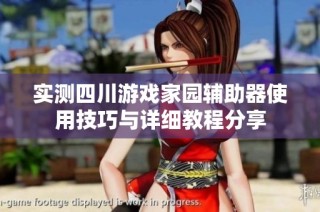 实测四川游戏家园辅助器使用技巧与详细教程分享