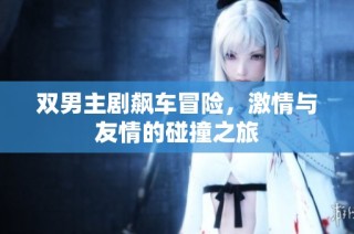 双男主剧飙车冒险，激情与友情的碰撞之旅