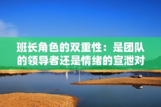 班长角色的双重性：是团队的领导者还是情绪的宣泄对象
