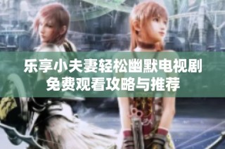 乐享小夫妻轻松幽默电视剧免费观看攻略与推荐