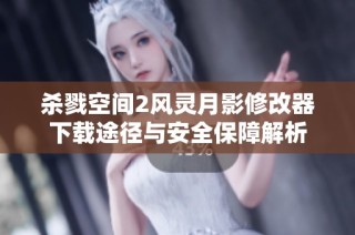 杀戮空间2风灵月影修改器下载途径与安全保障解析