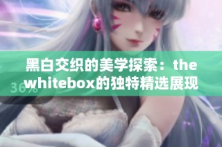 黑白交织的美学探索：thewhitebox的独特精选展现