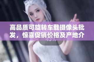 高品质可旋转车载摄像头批发，惊喜促销价格及产地介绍