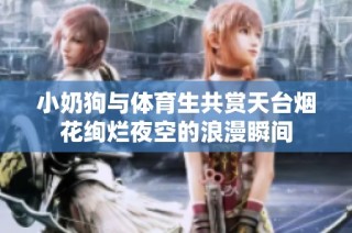 小奶狗与体育生共赏天台烟花绚烂夜空的浪漫瞬间