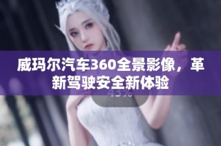 威玛尔汽车360全景影像，革新驾驶安全新体验