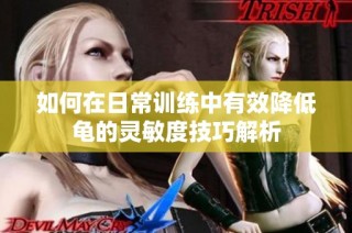 如何在日常训练中有效降低龟的灵敏度技巧解析