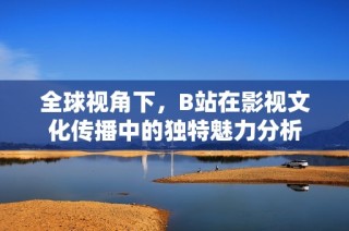 全球视角下，B站在影视文化传播中的独特魅力分析