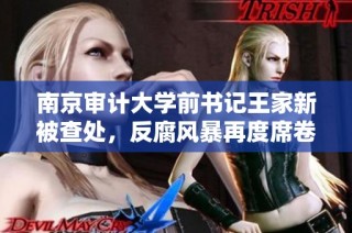 南京审计大学前书记王家新被查处，反腐风暴再度席卷校园
