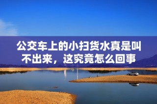公交车上的小扫货水真是叫不出来，这究竟怎么回事