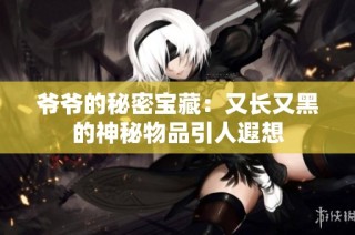 爷爷的秘密宝藏：又长又黑的神秘物品引人遐想