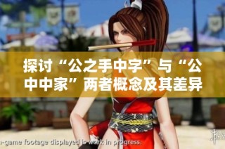 探讨“公之手中字”与“公中中家”两者概念及其差异分析