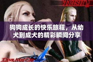 狗狗成长的快乐旅程，从幼犬到成犬的精彩瞬间分享