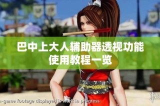 巴中上大人辅助器透视功能使用教程一览