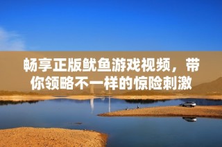 畅享正版鱿鱼游戏视频，带你领略不一样的惊险刺激