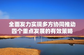 全面发力实现多方协同推动四个重点发展的有效策略