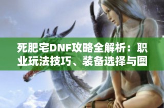 死肥宅DNF攻略全解析：职业玩法技巧、装备选择与图刷攻略详解