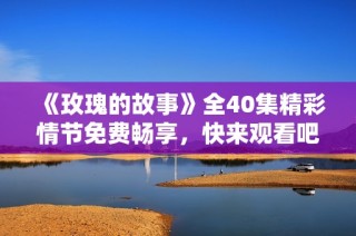 《玫瑰的故事》全40集精彩情节免费畅享，快来观看吧