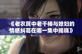 《老农民中老干棒与媳妇的情感纠葛在哪一集中揭晓》