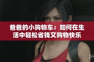 爸爸的小购物车：如何在生活中轻松省钱又购物快乐