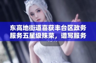 东高地街道喜获丰台区政务服务五星级殊荣，谱写服务新篇章