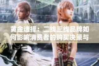 黄金选择：二线三线品牌如何影响消费者的购买决策与体验