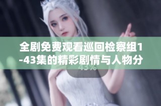 全剧免费观看巡回检察组1-43集的精彩剧情与人物分析