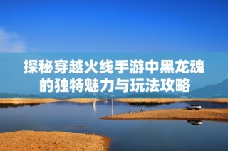 探秘穿越火线手游中黑龙魂的独特魅力与玩法攻略