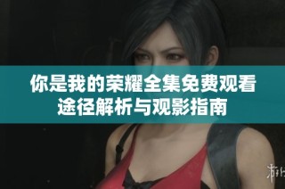你是我的荣耀全集免费观看途径解析与观影指南