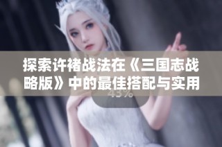 探索许褚战法在《三国志战略版》中的最佳搭配与实用技巧