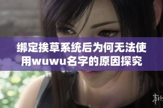 绑定挨草系统后为何无法使用wuwu名字的原因探究