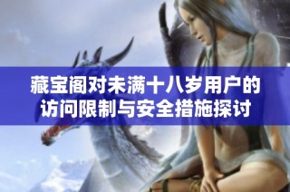 藏宝阁对未满十八岁用户的访问限制与安全措施探讨