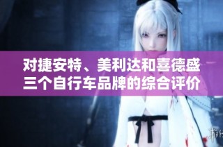 对捷安特、美利达和喜德盛三个自行车品牌的综合评价与对比分析