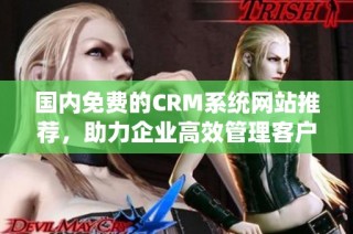 国内免费的CRM系统网站推荐，助力企业高效管理客户关系